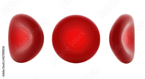 Three red blood cells isolated on transparent background in different views