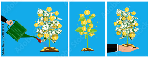 Man watering and holding money tree set. Investment concept grow chart. Financial growth stock market data visualization for business.