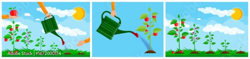 Flat graphic illustration of human hand holding apple, planting seeds, and watering growing plant. Growth and prosperity concept.