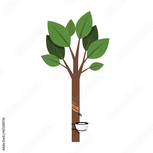 Illustration of a rubber tree with latex being collected in a bowl.