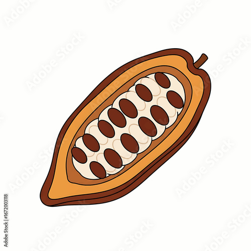 Illustration of a cut open cocoa pod with beans inside.