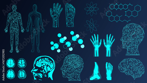 Human anatomy hologram and molecular structures in glowing digital wireframe. Concept of medicine, health research, biometrics, futuristic diagnostics, and AI science.