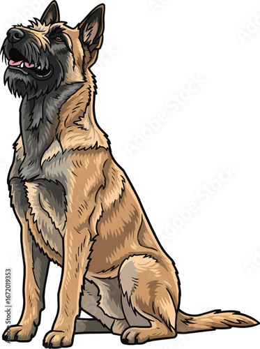 Belgian Laekenois dog sitting obediently looking up cute illustration