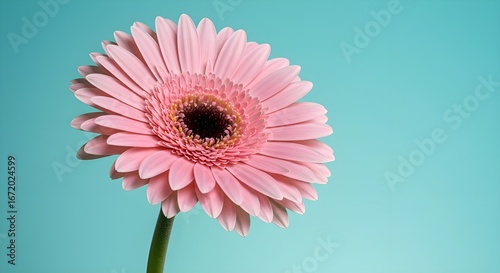 flor rosa simple sobre un fondo verde