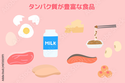 タンパク質を多く含む食品のかわいいイラストセット