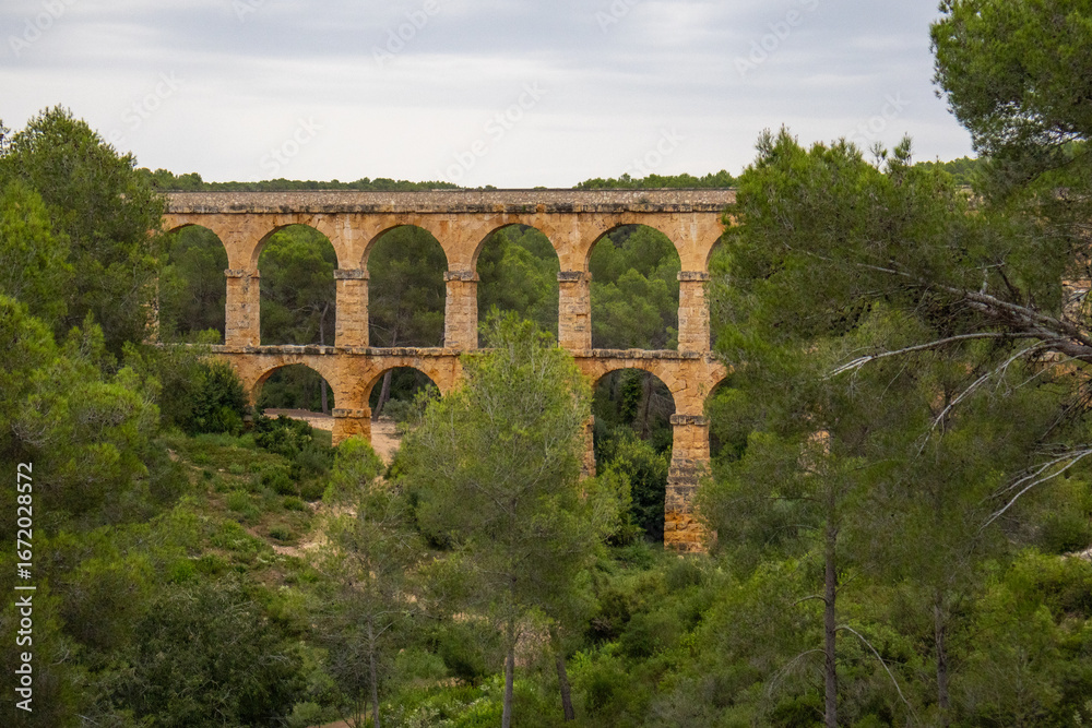 Fototapeta premium Roman aqueduct of tarragona crossing lush green forest
