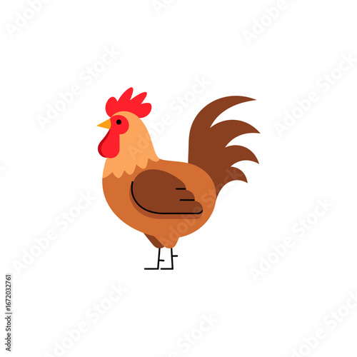 Cute domestic fowl with red feathers, a farm animal illustration of a cock and hen on a white background