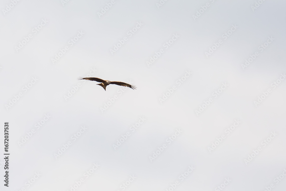 Obraz premium Milan hoch oben