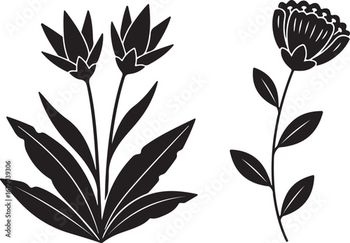 Elegant black silhouette of two distinct floral arrangements with detailed petals and leaves