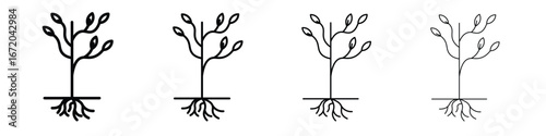 Tree with roots and leaves icons. line strokes simple icons