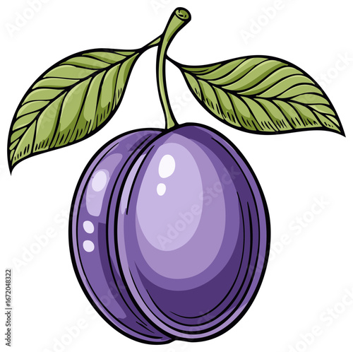 Stylized Plum Illustration with Leaves, Isolated Fruit Drawing, Fresh Produce