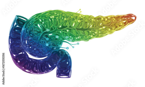 High-Resolution Vibrant Pancreas Anatomy – Medical Illustration for Digestive System Education