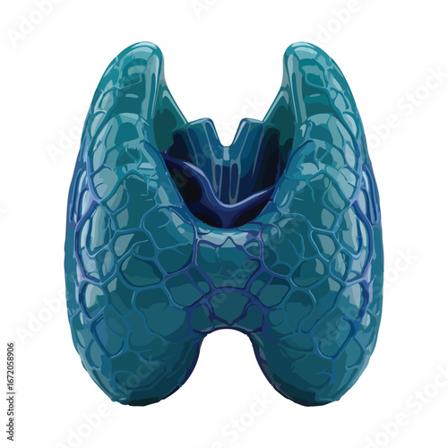 Stylized 3D Thyroid Gland Anatomy – Modern Medical Illustration for Endocrinology and Healthcare Education
