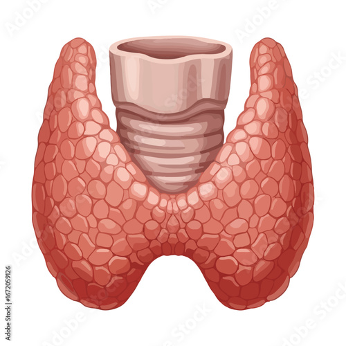 Vibrant 3D Abstract Render of the Human Thyroid Gland – Modern Medical Illustration for Science, Education, and Healthcare Presentations