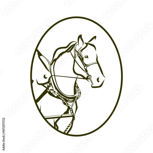 Elegant vector illustration featuring a majestic horse head with detailed harness in a stylish oval frame, perfect for equestrian design concepts