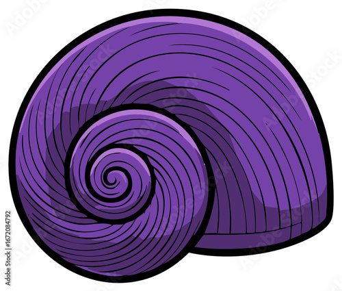 Vibrant purple nautilus shell illustration with intricate spiral pattern