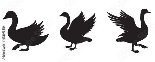 Silhouette set of geese in various poses, vector illustration isolated on white background for wildlife, farming, and design concepts