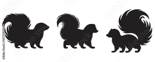 Silhouette set of skunks with fluffy tails, vector illustration isolated on white background for wildlife and design concepts