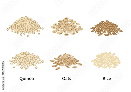 Illustrated piles of healthy grains: Quinoa, Oats, and Rice, essential for nutritious meals, plant-based diets, and wholesome culinary creations.