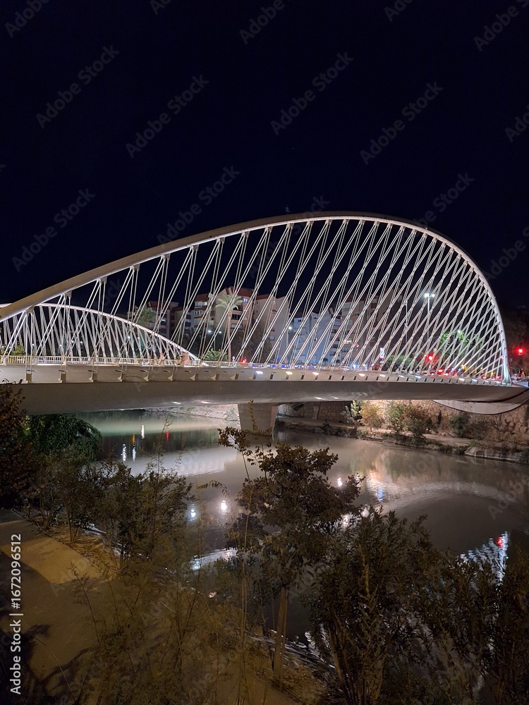 Obraz premium Puente del Hospital in Murcia, Spain 