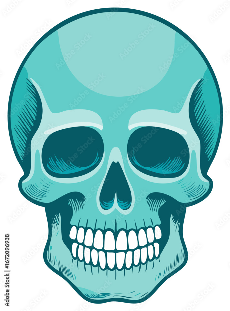 Obraz premium Striking Teal Skull Illustration, Vector Style, Anatomy Art, Macabre Graphic for Halloween and Horror Designs