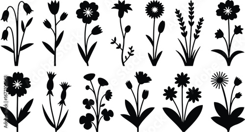 Diverse silhouette flower collection botanical elements for design and craft projects