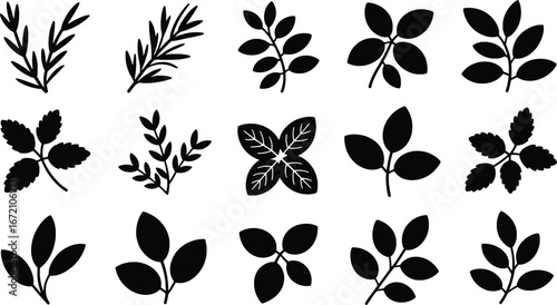 Collection of hand-drawn botanical elements rustic leafy branches natural foliage designs