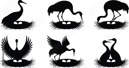 Six silhouettes of cranes nesting with eggs delicate feathers majestic birds in natural habitats