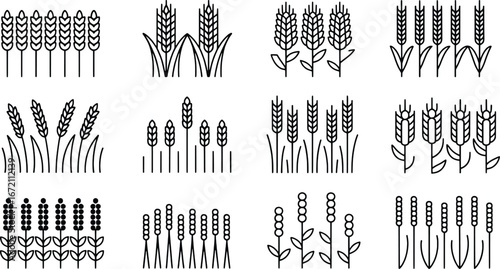 Collection of various stylized wheat stalks and ears botanical line art representations