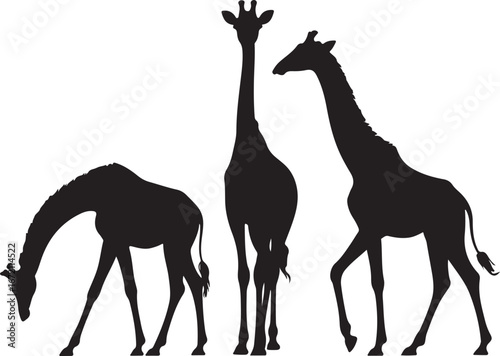 Giraffe Silhouette Vector Set"

"Wildlife Animal Giraffe Silhouette Illustration"

"African Giraffe Silhouette Graphic Collection"