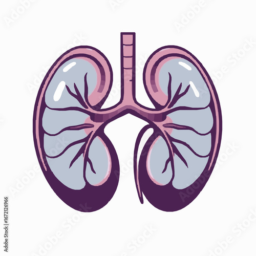 Stylized Illustration Of Human Lungs With Pink And Blue Tones On A White Background respiratory system