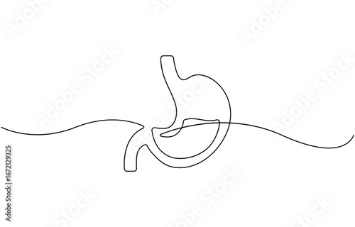 Single line drawing stomach icon .