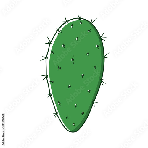 Illustration of a green prickly pear cactus pad with spines on a white background.