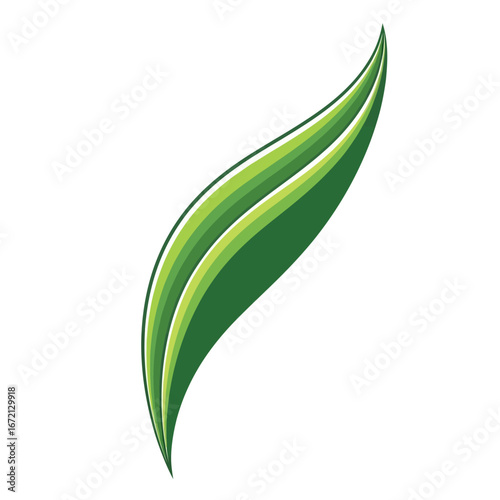 Green stylized leaf graphic design, abstract and elegant.