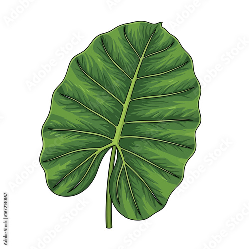 Close-up illustration of a vibrant green tropical leaf.