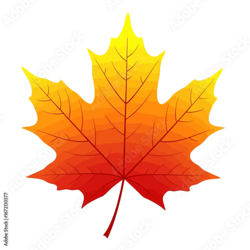 A vibrant maple leaf displaying a gradient of yellow, orange, and red hues, symbolizing autumn.