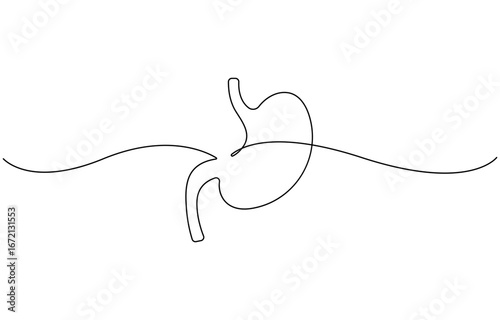 Single line drawing stomach icon .