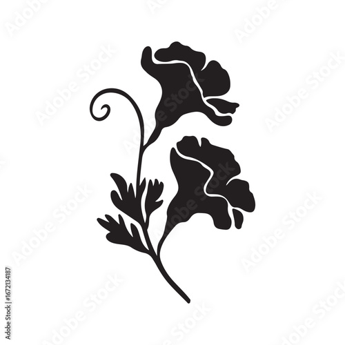 Elegant Sweet Pea Flower Silhouette: A Pair of Blossoms on a Stem Vector Design