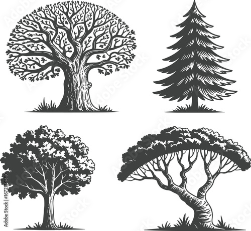 Collection of detailed tree illustrations, natural forest vector set, eco friendly botanical art, leafy and pine tree drawings, nature background