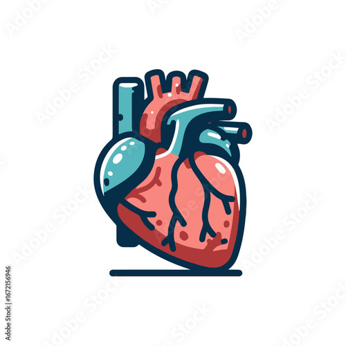 Colorful illustration of a human heart, showcasing its anatomical features and arteries