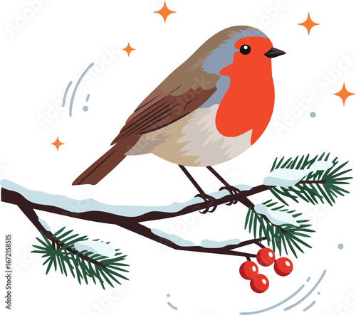 Cute robin bird on snowy pine branch with red berries winter illustration