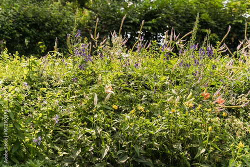 Wallpaper Mural Detail of a beautiful garden in Sweden Torontodigital.ca