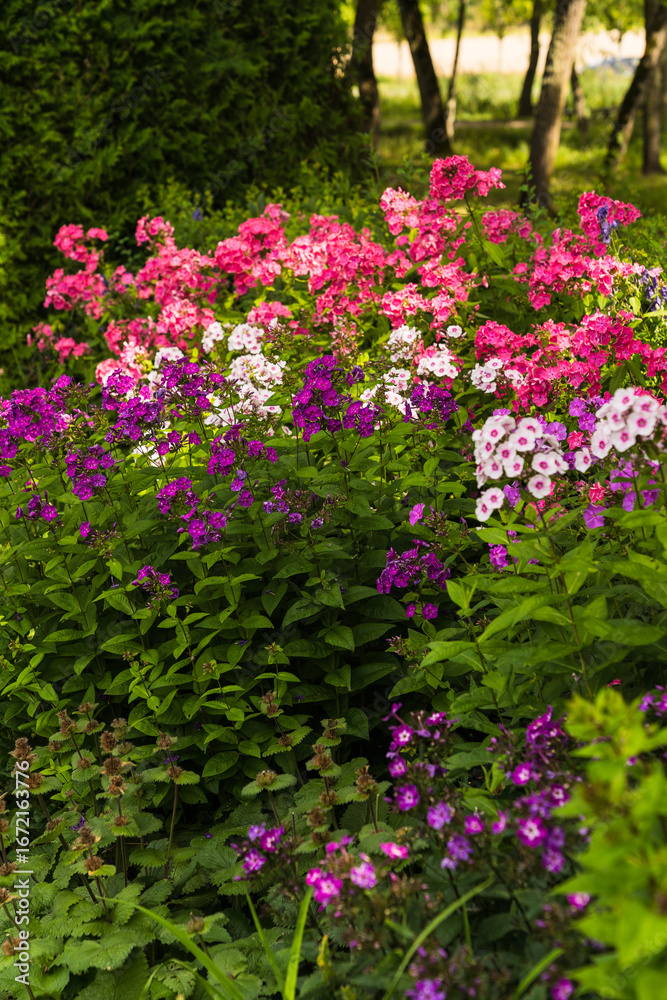 custom made wallpaper toronto digitalDetail of a beautiful garden in Sweden