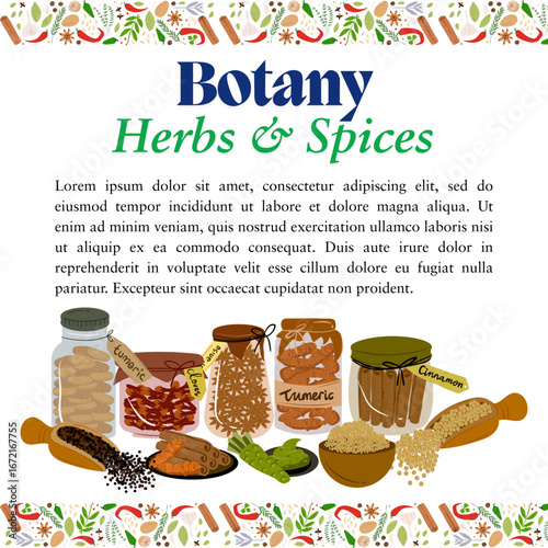 spices and herbs botany
