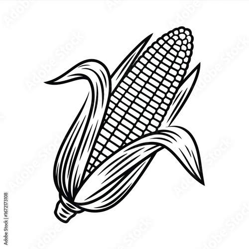 Vector illustration of an ear of corn with husk in black and white line art for scalable graphics and icon design white background