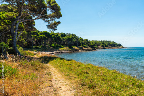 Papier peint Beautiful mediterranean landscape at Punta Licosa, near Castellabate in the Cilento region