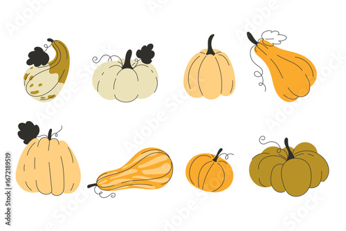 Set of Seasonal Fall Pumpkins for Autumn Harvest and Thanksgiving