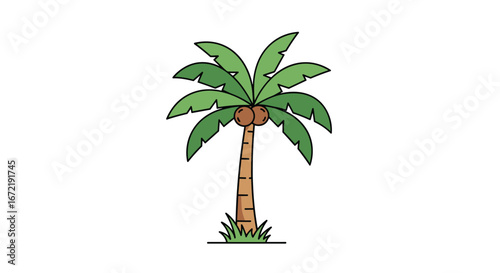 Illustrating a tall tropical palm tree with lush green leaves and coconuts in the sunlight