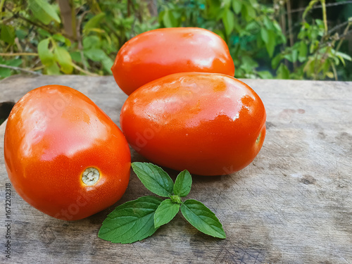 fresh Italian tomatoes on a cutting board with basil and blurred background