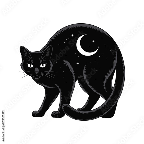 Night Cat Silhouette Illustration with Moon and Stars on Fur Design Element